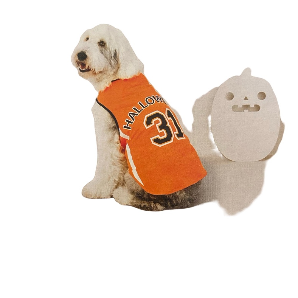 Orange Sport Halloween Dog Costume